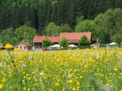 Фото: Malleichen